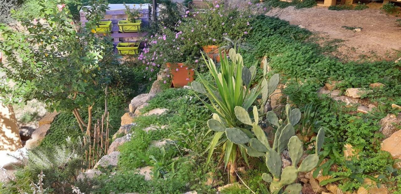 Il Moro Di Sicilia Apartment 泰尔米尼伊梅雷塞 外观 照片